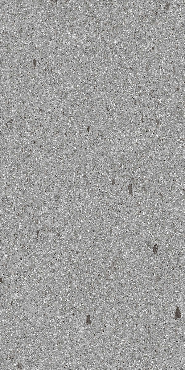 Grey 60x120 (600x1200)