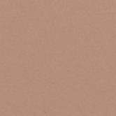 Winckelmans Метлахская плитка Cx.20 Old Pink Rsv 20x20