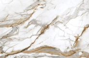 Protiles Royal Marble PT12P7081 Royal Marble Полированная 1200х600х9 фото-5