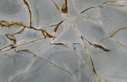 X-Light Blue Roma 100332617 Blue Roma Polished 120x270 фото-5