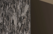 Selenite Maximum