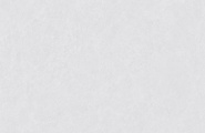Vizavi Пепел ZA-L12502 Пепел Матовый 1200x600x9 фото-4
