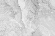 Eurotile Инверно/Inverno Инверно/Inverno Серый Полированный 60x60 фото-9