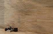 Ясень/Ash