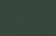 Ametis by Estima Spectrum SR09 Spectrum Зеленый Неполированный Рект 60x120x9 фото-5