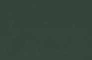 Ametis by Estima Spectrum SR09 Spectrum Зеленый Неполированный Рект 60x120x9 фото-8