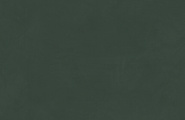 Ametis by Estima Spectrum SR09 Spectrum Зеленый Неполированный Рект 60x120x9 фото-9