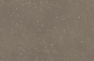 Kerama Marazzi Пунтум KM6012G1391R8 Пунтум коричневый матовый обрезной 60x119,5x0,8 фото-2