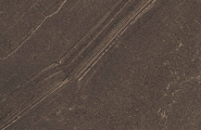 Estima Gabbro GB04 Gabbro Brown Неполированный Рект. 80х80х10 фото-5