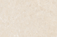 Global Tile Shell GT1206025402M3GR Ракушка / Shell Бежевый 3D граниль 60x120 фото-13