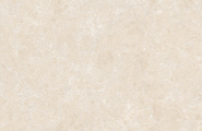 Global Tile Shell GT1206025402M3GR Ракушка / Shell Бежевый 3D граниль 60x120 фото-15