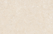 Global Tile Shell GT1206025402MHRR Ракушка / Shell Бежевый 60x120 фото-13