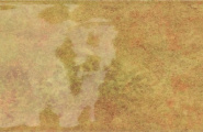Smile Tile Tropicana Tropicana Canary 7.5x30 фото-2