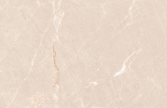 Neodom Stone N20554 Persian Beige Matt 60x120 фото-4