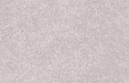 Neodom Stone N20555 Aristo Grey Tm 60x120 фото-3