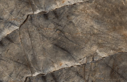 Bluezone Arizona Green 60x120 фото-7