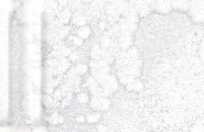 Grespania Mural 06DMU48 Mural Blanco Relieve 5.5x45 фото-22