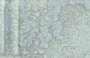 Grespania Mural 06DMU68 Mural Menta Relieve 5.5x45 фото-22