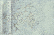 Grespania Mural 06DMU68 Mural Menta Relieve 5.5x45 фото-37