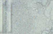 Grespania Mural 06DMU68 Mural Menta Relieve 5.5x45 фото-40