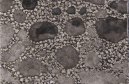 Cifre Core Core Gray Brillo 15x15 фото-5