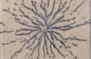 Cifre Core Core Blue Brillo 15x15 фото-3