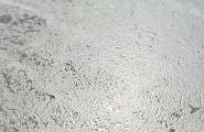 Grizli