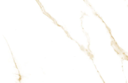 King Star Ceramic Metropolis 5101 Рафаэль золотой МТ 60х60 фото-4