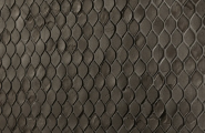 Bottega
