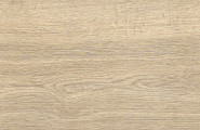 Alma Ceramica Brentwood GFA3060BWD24R Brentwood матовый 300x600x7 фото-3
