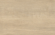 Alma Ceramica Brentwood GFA3060BWD24R Brentwood матовый 300x600x7 фото-18