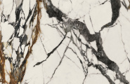 Porcelanosa Paonazzo 100331160 Xlight Paonazzo Biondo Silk 120x120 фото-4