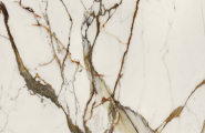 Porcelanosa Paonazzo 100331160 Xlight Paonazzo Biondo Silk 120x120 фото-5