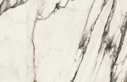 Porcelanosa Paonazzo 100331160 Xlight Paonazzo Biondo Silk 120x120 фото-7