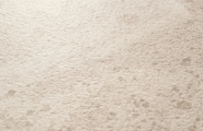 Xlight Xstone