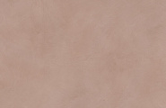 ABK Alterego PF60016432 Alterego Bark Nat Rett 60x120 фото-8