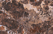 Naxos Mind 145023 Mind Tharsis Molato Rect 60x120 фото-5
