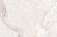Saans Onyx Onyx Clanton Rex pol. 60x120 фото-9