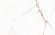 Alma Ceramica Napoli GFU6060NPL04R Napoli матовый 600x600x9 фото-11