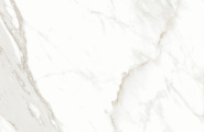 Alma Ceramica Calacatta Gold GFU6060CLG04R Calacatta Gold матовый карвинг 600x600x9 фото-15