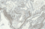 FMG Maxfine Marmi P315664MF6 Marmi Oyster Naturale 150x300 фото-3
