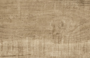 Tau Eternal Eternal Roble Mate 25x150 фото-22