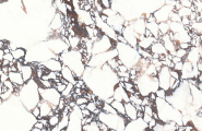 Snowwolf Porcelain Slab 9S918019C Bulgari Style Rect 90x180 фото-4