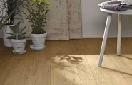 Treverklook